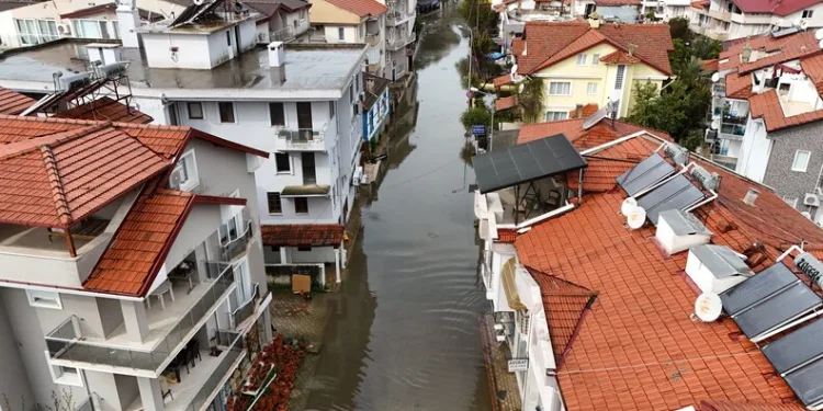 İstanbul Havalimanı’nda 20 adet Afrika gri papağanı ele geçirildi
