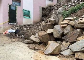 İstanbul Havalimanı’nda 20 adet Afrika gri papağanı ele geçirildi