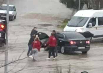 İstanbul Havalimanı’nda 20 adet Afrika gri papağanı ele geçirildi