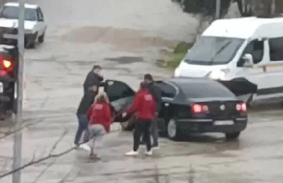 İstanbul Havalimanı’nda 20 adet Afrika gri papağanı ele geçirildi