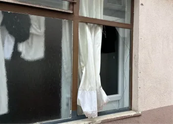 İstanbul Havalimanı’nda 20 adet Afrika gri papağanı ele geçirildi