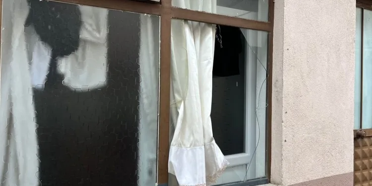 İstanbul Havalimanı’nda 20 adet Afrika gri papağanı ele geçirildi