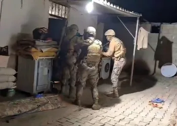 İstanbul Havalimanı’nda 20 adet Afrika gri papağanı ele geçirildi