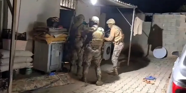 İstanbul Havalimanı’nda 20 adet Afrika gri papağanı ele geçirildi