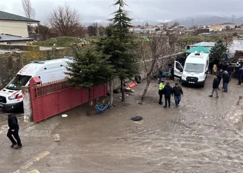 İstanbul Havalimanı’nda 20 adet Afrika gri papağanı ele geçirildi