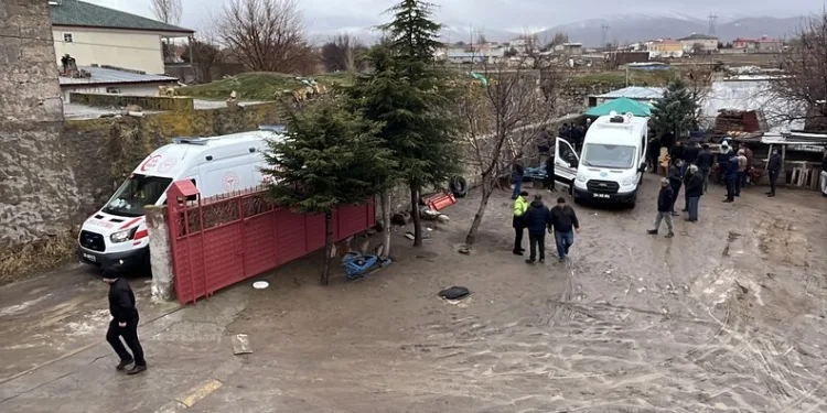 İstanbul Havalimanı’nda 20 adet Afrika gri papağanı ele geçirildi