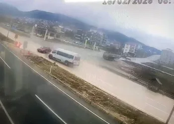 İstanbul Havalimanı’nda 20 adet Afrika gri papağanı ele geçirildi