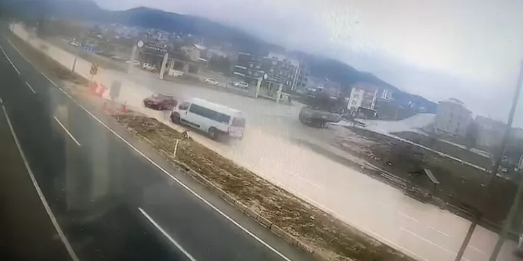 İstanbul Havalimanı’nda 20 adet Afrika gri papağanı ele geçirildi