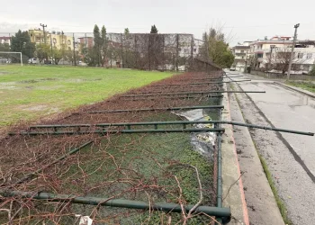 İstanbul Havalimanı’nda 20 adet Afrika gri papağanı ele geçirildi