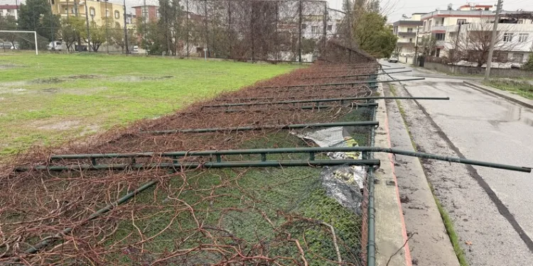 İstanbul Havalimanı’nda 20 adet Afrika gri papağanı ele geçirildi