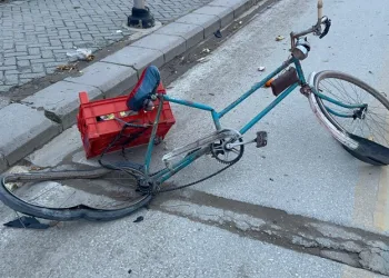 İstanbul Havalimanı’nda 20 adet Afrika gri papağanı ele geçirildi