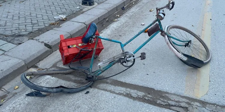 İstanbul Havalimanı’nda 20 adet Afrika gri papağanı ele geçirildi