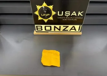 İstanbul Havalimanı’nda 20 adet Afrika gri papağanı ele geçirildi