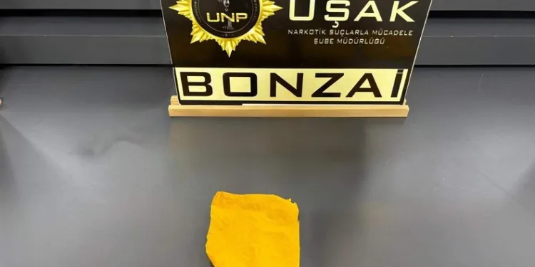 İstanbul Havalimanı’nda 20 adet Afrika gri papağanı ele geçirildi