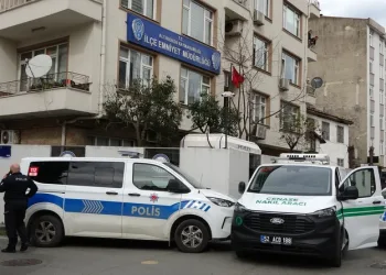 İstanbul Havalimanı’nda 20 adet Afrika gri papağanı ele geçirildi