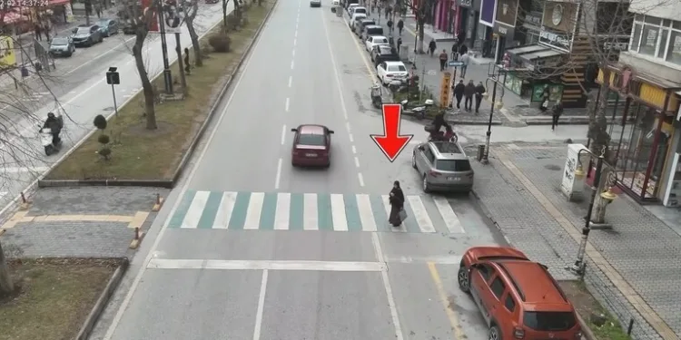 İstanbul Havalimanı’nda 20 adet Afrika gri papağanı ele geçirildi