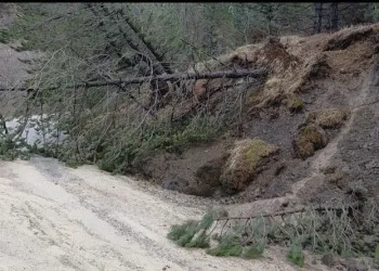 Avcılar’da kaza yerini karıştıran kadınlar kamerada