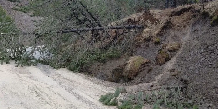Avcılar’da kaza yerini karıştıran kadınlar kamerada