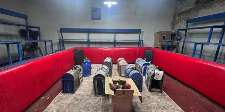 Avcılar’da kaza yerini karıştıran kadınlar kamerada