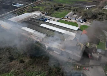 Gaziantep’te kan donduran görüntülerin ortaya çıktığı kavga sonrası 6 şahıs sınır dışı edildi