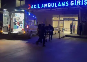 Erzincan’da köprüden atlayan şahıs ağır yaralandı