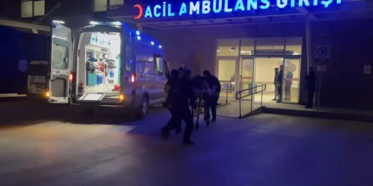 Erzincan’da köprüden atlayan şahıs ağır yaralandı