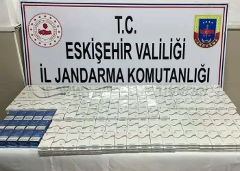 Erzincan’da köprüden atlayan şahıs ağır yaralandı