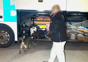 Erzincan’da köprüden atlayan şahıs ağır yaralandı