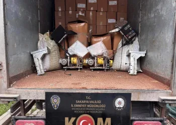 Erzincan’da köprüden atlayan şahıs ağır yaralandı