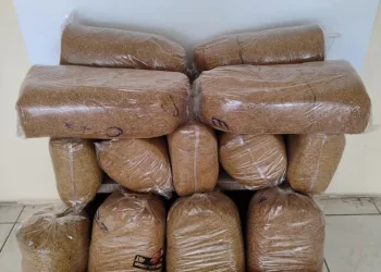 Erzincan’da köprüden atlayan şahıs ağır yaralandı