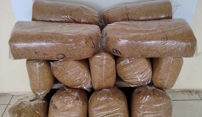 Erzincan’da köprüden atlayan şahıs ağır yaralandı