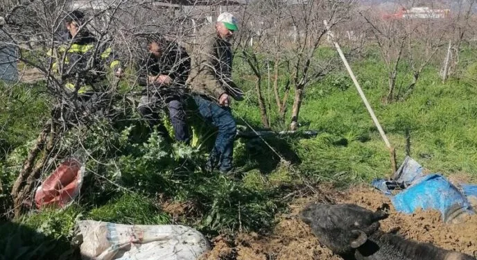 Erzincan’da köprüden atlayan şahıs ağır yaralandı
