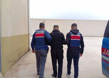 Erzincan’da köprüden atlayan şahıs ağır yaralandı