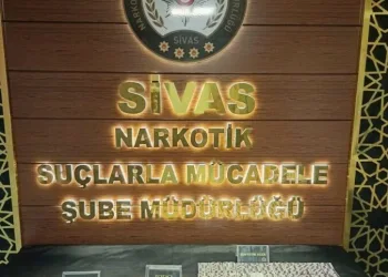 Erzincan’da köprüden atlayan şahıs ağır yaralandı