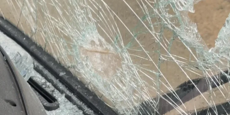 Erzincan’da köprüden atlayan şahıs ağır yaralandı