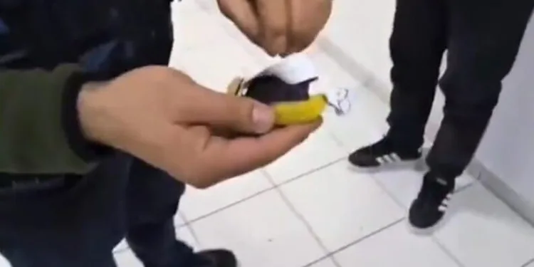 Erzincan’da köprüden atlayan şahıs ağır yaralandı