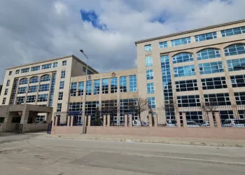 Erzincan’da köprüden atlayan şahıs ağır yaralandı