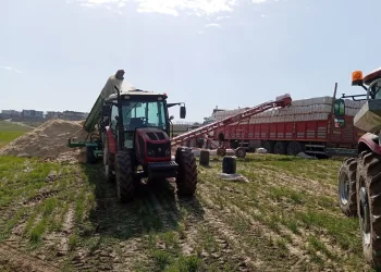 Antalya’da alacak verecek tartışması cinayetle sonuçlandı
