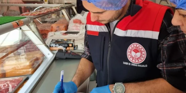 Gazze’de can kaybı 72 bin 73’e yükseldi