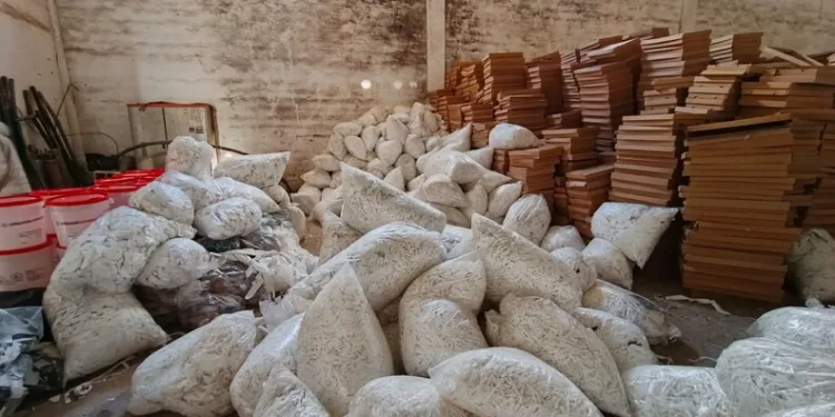 Gazze’de can kaybı 72 bin 73’e yükseldi