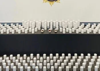 Siirt’te kayalıklarda 4 gündür mahsur kalan 2 keçi kurtarıldı