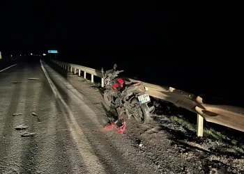 Siirt’te kayalıklarda 4 gündür mahsur kalan 2 keçi kurtarıldı