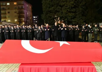 Siirt’te kayalıklarda 4 gündür mahsur kalan 2 keçi kurtarıldı