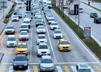 Siirt’te kayalıklarda 4 gündür mahsur kalan 2 keçi kurtarıldı