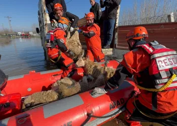 Siirt’te kayalıklarda 4 gündür mahsur kalan 2 keçi kurtarıldı