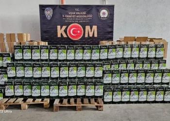 Cizre’deki cinayetin faili tutuklandı