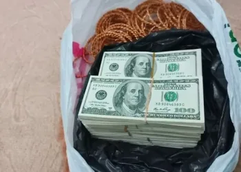 Cizre’deki cinayetin faili tutuklandı