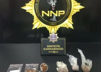 Cizre’deki cinayetin faili tutuklandı