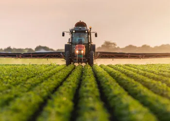 Tarım ve hayvancılık desteklerine düzenleme