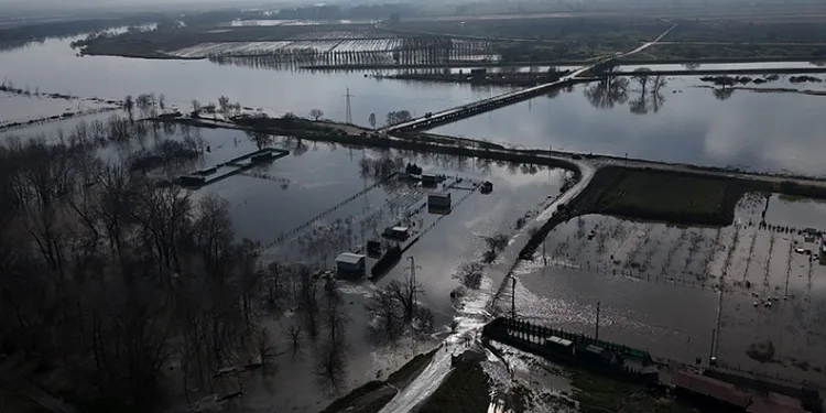 Meriç Nehri taştı, tarım arazileri ve yerleşim alanları sular altında kaldı